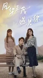 《风华正茂遇见你》剧情简介｜青涩爱情的青春物语