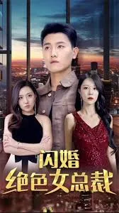 闪婚绝色女总裁：一段浪漫的婚姻冒险