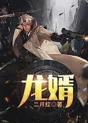 护花龙婿：一段别样爱情的旅程